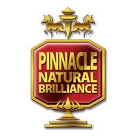 pinnacle car care products carzilla canada logo