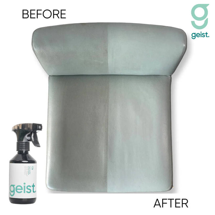 Geist. 3 Minus Care Kit for Leather & Vinyl - CARZILLA.CA