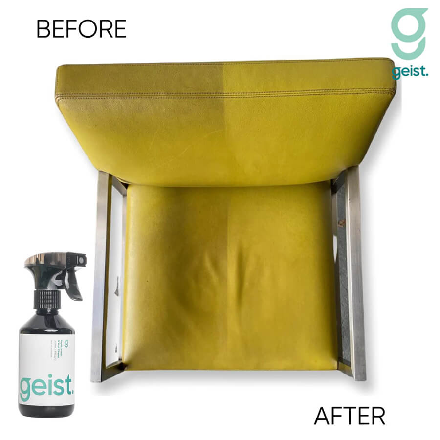 Geist. 3 Plus Care Kit for Leather & Vinyl - CARZILLA.CA