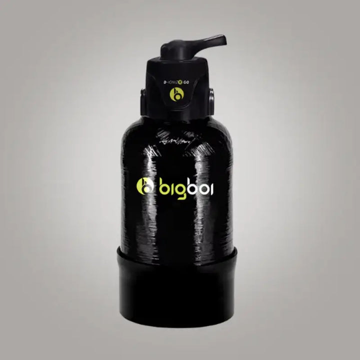 BigBoi D-IONIZR GO - CARZILLA.CA