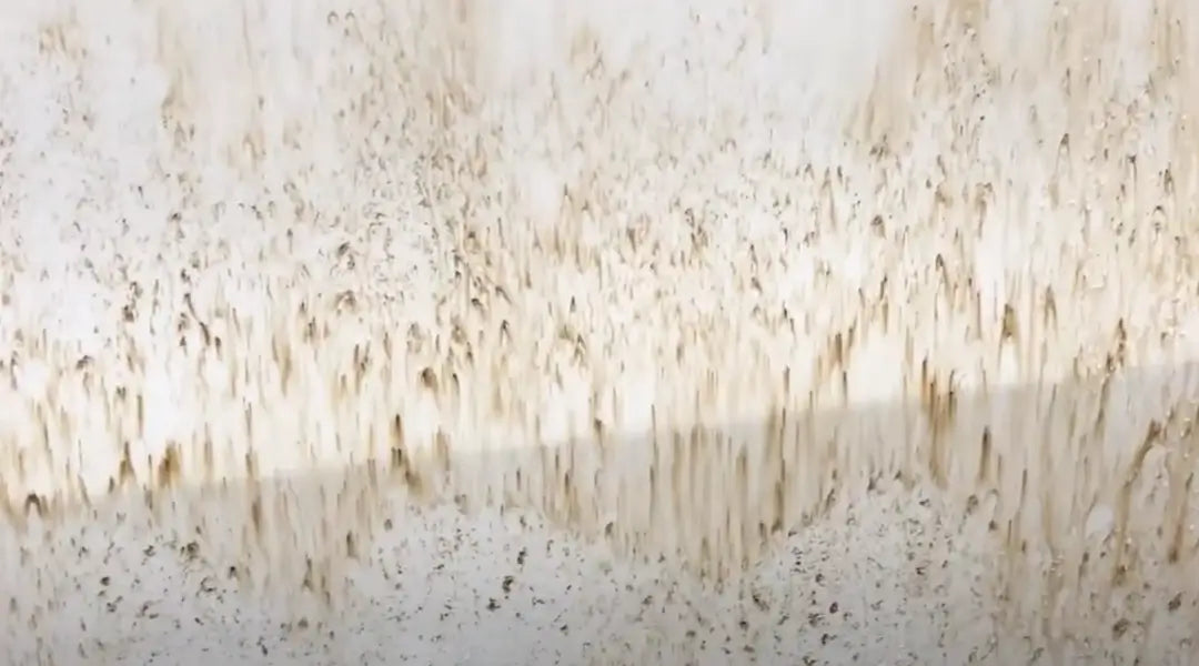 carpro tar x tar and rubber remover