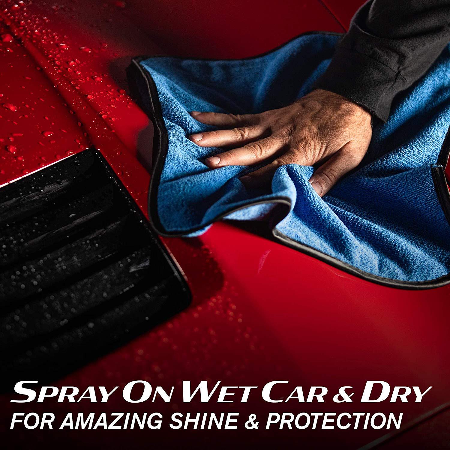 カーリス ホット&ケア Turtle Wax HS Wet Wax - CARZILLA.CA